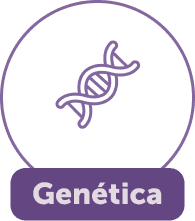 Genética