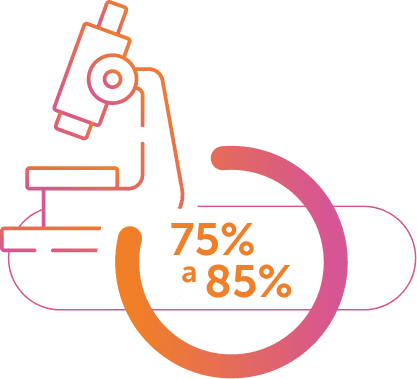 75% a 85%